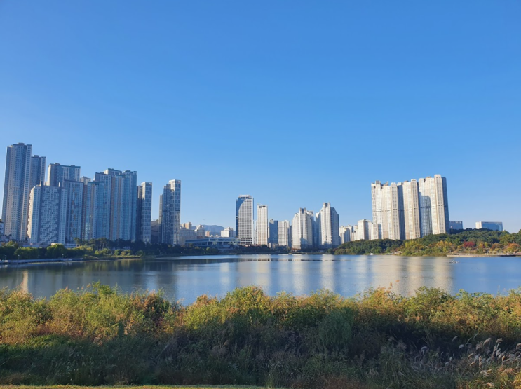 신혼집은 이렇게 고르세요! 신혼부부 실거주 아파트 고르는 방법