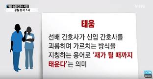  간호사 태움이란 찬성반대의견근거 해결협력방안 태움악습사례 간호사동료갈등 위계질서군기 윤리문제