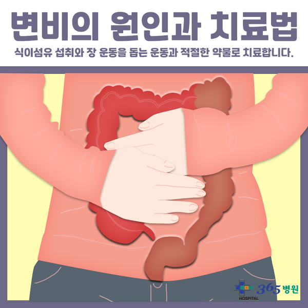  [창원마산 척추관절 디스크 365병원] 변비의 원인과 치료법
