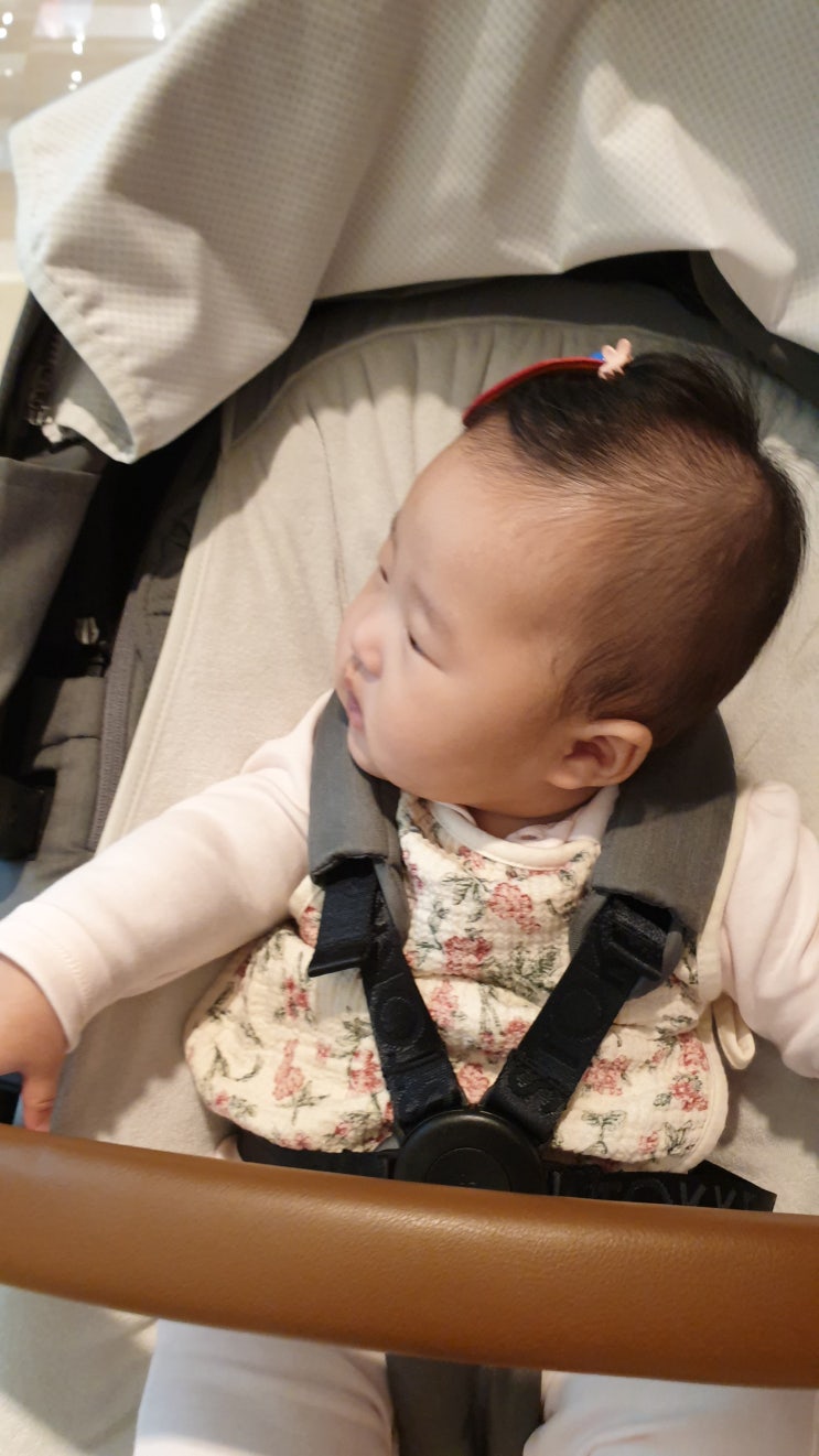  5개월 아이 장거리 여행