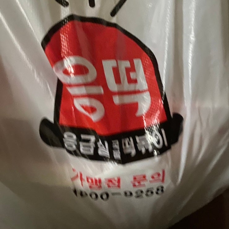  다이어트 실패! 응급실국물떡볶이 챱챱