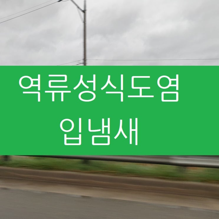  역류성식도염 입냄새 입마름 원인