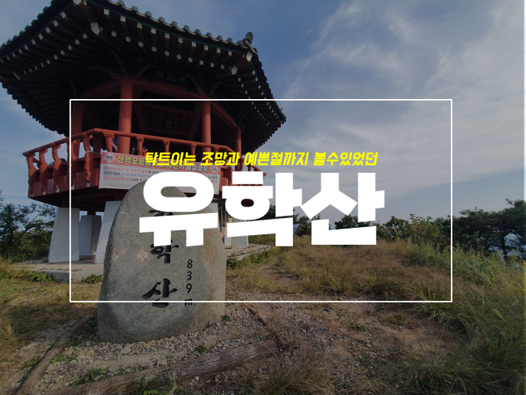  팥재 휴게소 출발 도봉사 경유 유학산 최단 등산 코스, 왕복 2시간