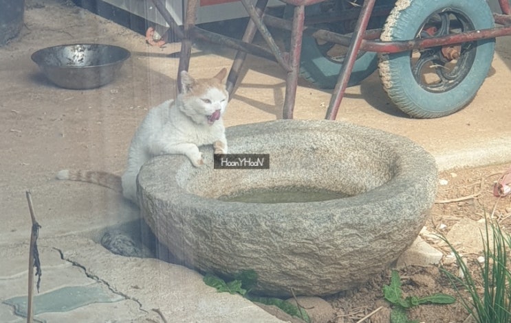  하는 것 없이 바쁜 하루