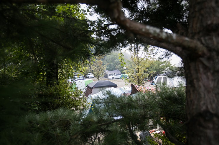  여주 캠핑장 팜스퀘어 우동체험학교 캠핑 후기