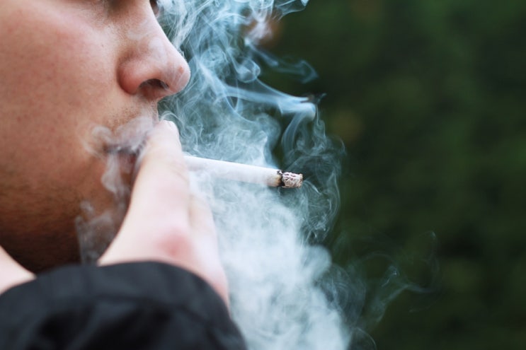 매캐한 연기 내뿜는 ’아파트 실내 흡연‘. 법적인 제재는 없을까?