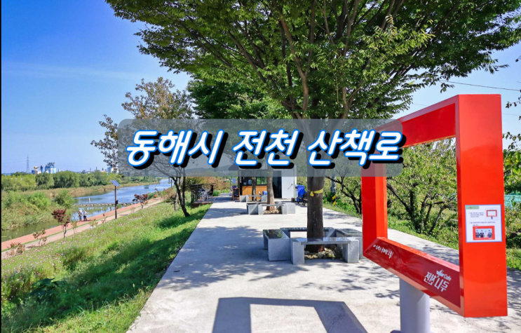 코스모스꽃길이 아름다운 동해시 전천산책로 코스모스꽃길이 아름다운 동해시 전천산책로