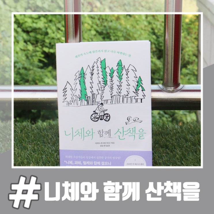  니체의 사상을 명상 속에서 찾아낸 책 니체와 함께 산책을