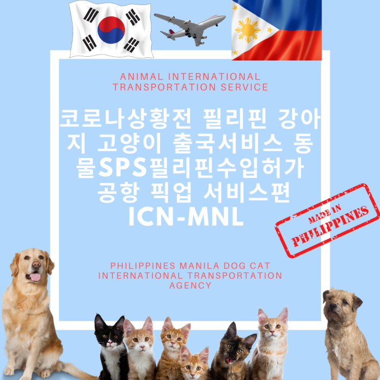  필리핀강아지 고양이수입허가 공증 필리핀 반려동물 해외운송 전문