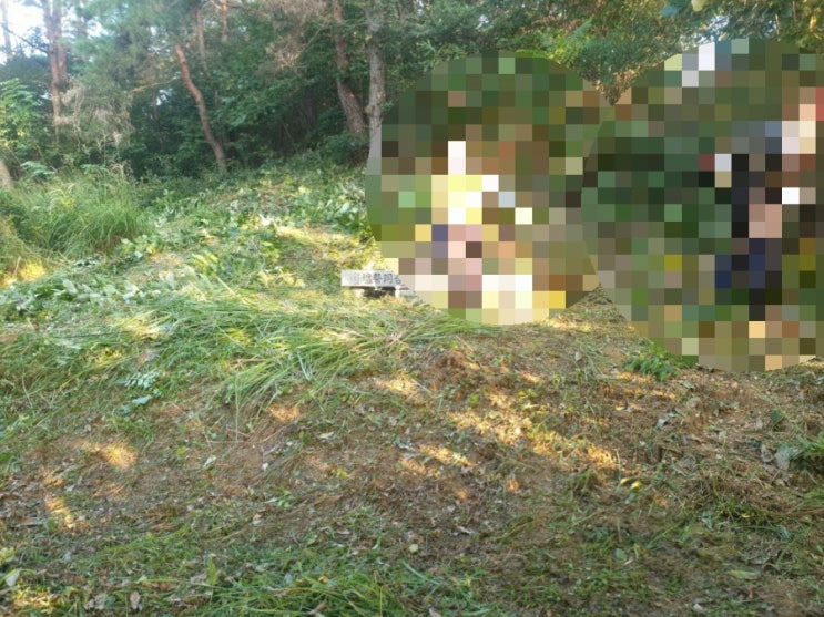  2021년 경북 김천시 어모면 문중산 20기 벌초대행 (김천벌초) 고인돌장묘개발장의사 #벌초대행 #벌초 #종중묘 #문중산