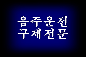  음주운전 구제 및 반성문 탄원서 행정사 (거제 고성 남해 사천 진주 통영 하동)