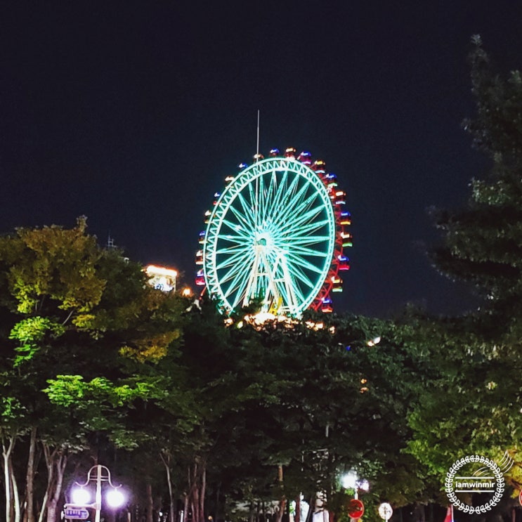 뜬금없이 다녀온 대구 2박 3일 먹방 여행 뜬금없이 다녀온 대구 2박 3일 먹방 여행