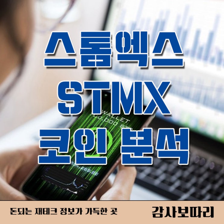  스톰엑스 코인(StormX) 분석 시세 전망