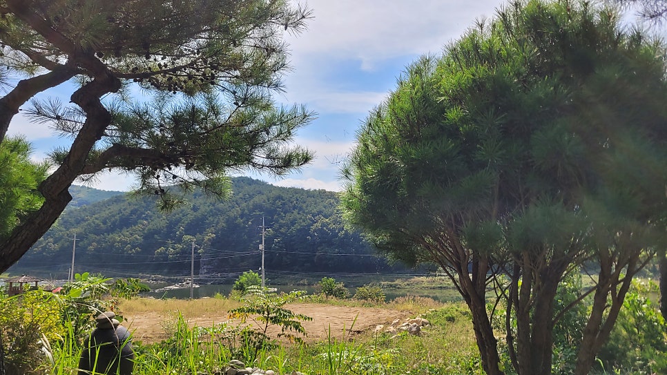 산청꿈의펜션 사진 5