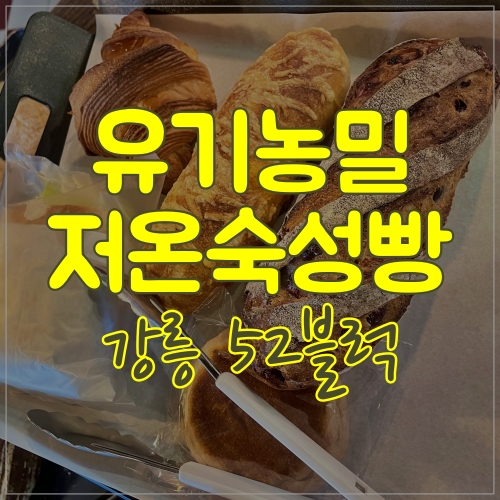 유기농밀 & 저온숙성빵이 맛있는  강릉 52블럭