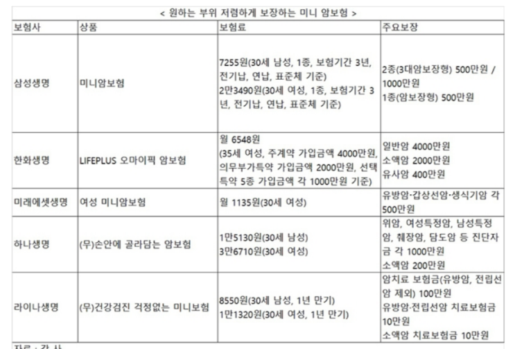 원하는 부위 집중 보장 가성비 미니 암보험 봇물 원하는 부위 집중 보장 가성비 미니 암보험 봇물