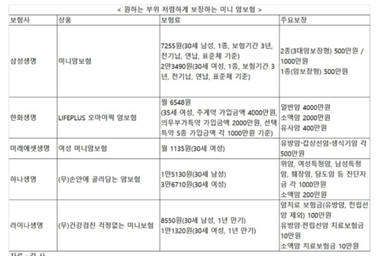 원하는 부위 집중 보장 가성비 미니 암보험 봇물