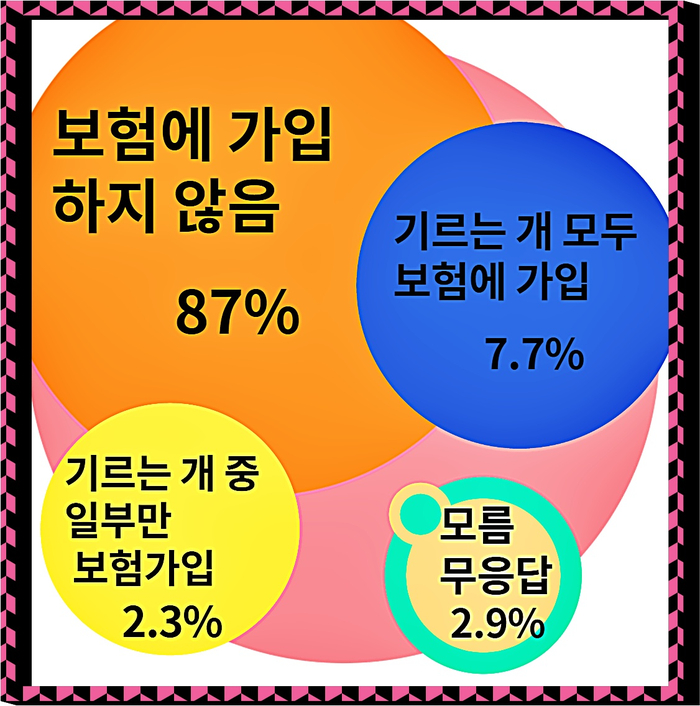  사랑하는 반려동물을 위한 펫 보험! 의료비용을 알아보자