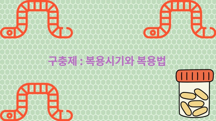  구충제 : 복용법 복용 시기