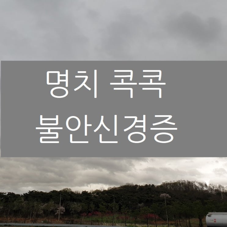  명치 콕콕 불안신경증으로 약을 먹어도 불편하면
