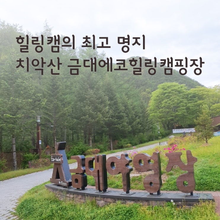  캠퍼들의 성지] 치악산 금대에코힐링 캠핑장(금대야영장)