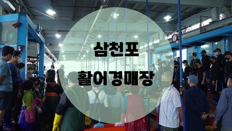  삼천포 활어경매장 / 활어와 해산물 저렴히 구할수 있는곳
