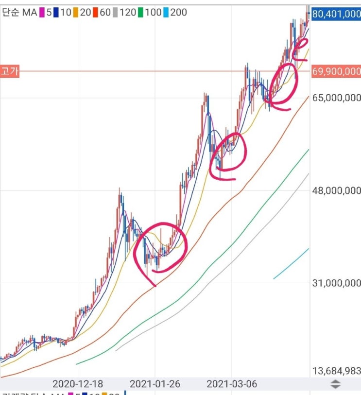  세럼과 비트코인 시황