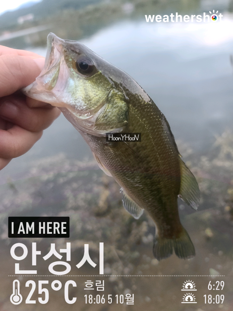  낚시인 후니훈으로 부캐 장착 완료