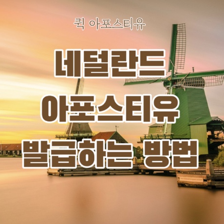  네덜란드 아포스티유 준비, 어렵지않아요