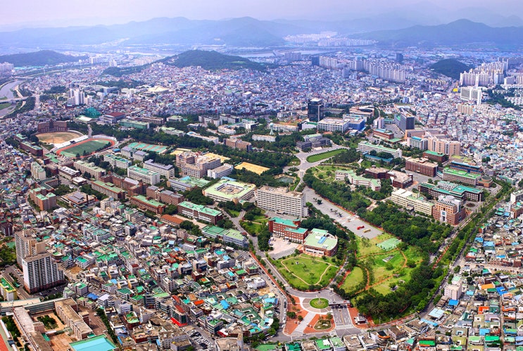  [구미영어학원 비오비학원]2021학년도 경북대 치대(치의예과) / 수의대(수의학과) 수시 / 정시 입결 정리