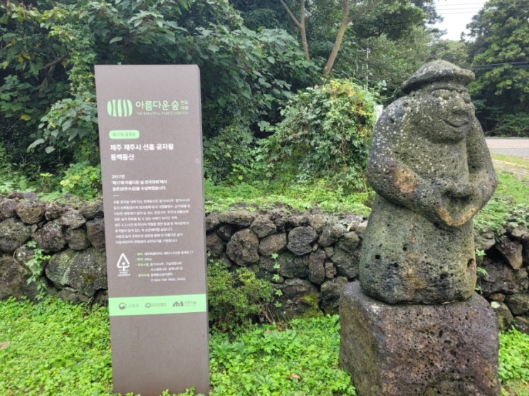  제주 입장료무료 동백동산 팁! 가기 전 필독