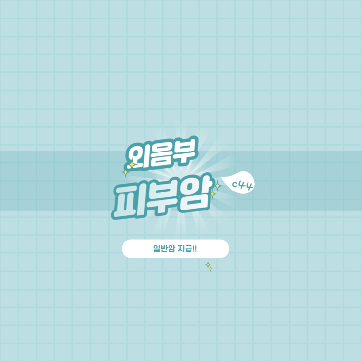  C44 외음부 피부암 아닌 일반암 지급의 필요성