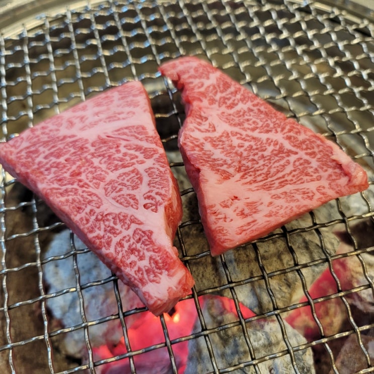  횡성 한우 맛집 - 마블링 예술인 화수목 (내돈내산)