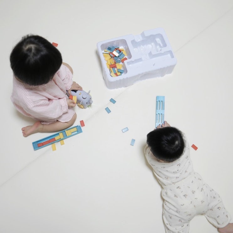  블루래빗 토이북 자동 도미노 신기하당 !