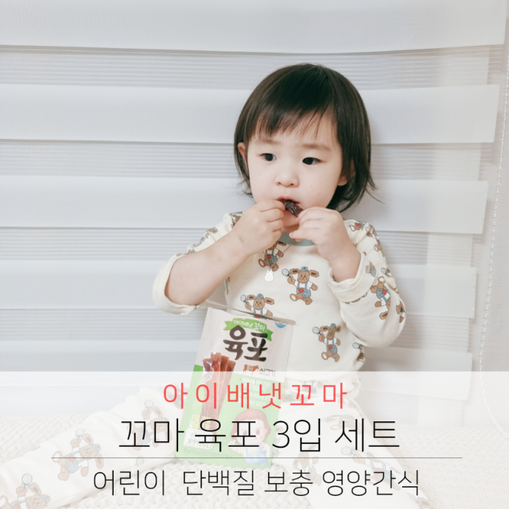  아이배냇 꼬마 아기 육포 어린이 단백질 보충 영양간식