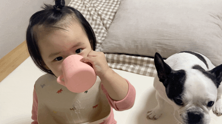  아기컵 사용시기, 고르는 팁 윈마이스터 트레이닝컵 쓰고있어요