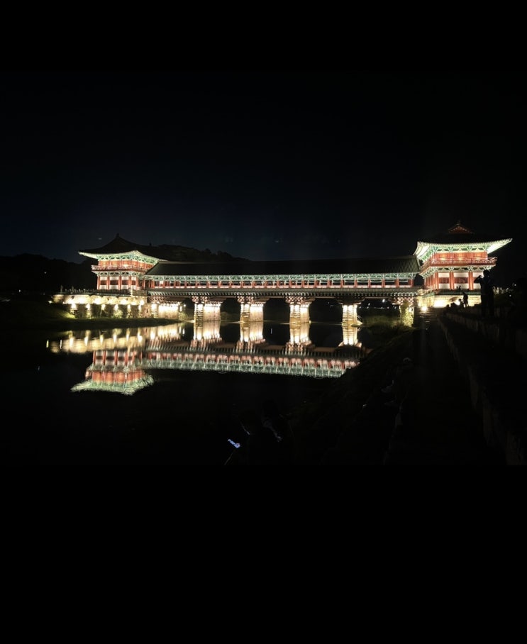 경주의 밤 경주의 밤