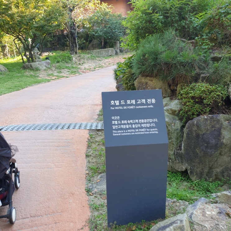  네이처파크 안 힐링공간, 호텔드포레