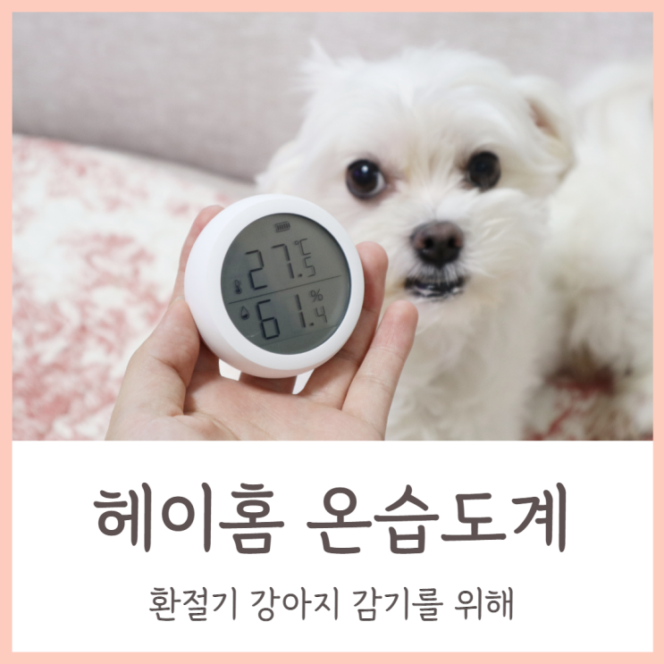  헤이홈 스마트 온습도계 환절기 강아지 감기를 위해