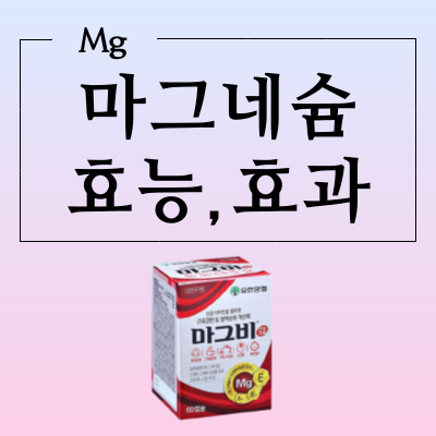  마그네슘 효능은 종류에 따라 완전히 달라요