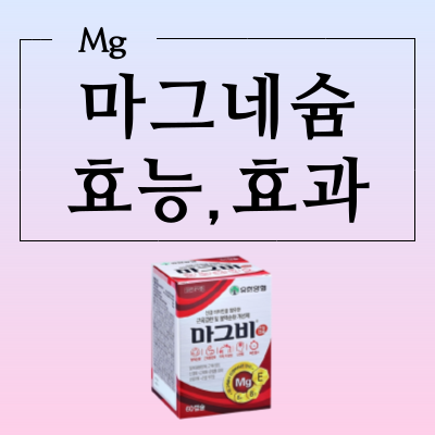 마그네슘 효능은 종류에 따라 완전히 달라요