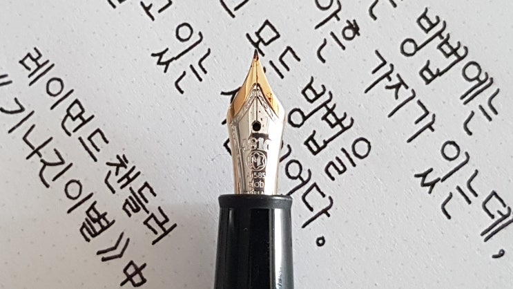  이 분 빌드업 보소 (아이디스 타자체 필사, 몽블랑 145 만년필 실제 사용 영상)