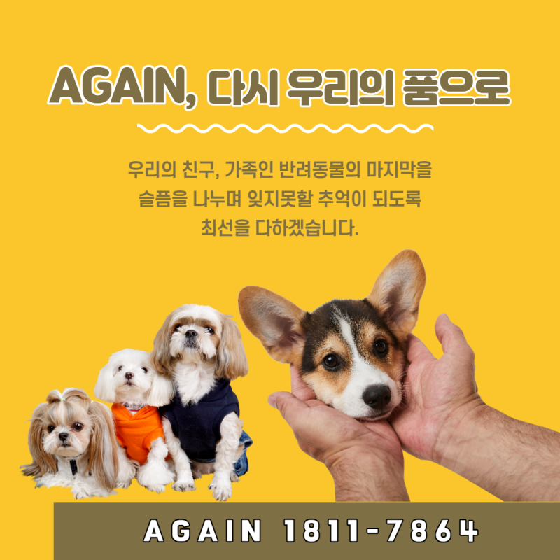 펫장례식장 애완동물화장 만남이 중요한 만큼 중요한 헤어짐