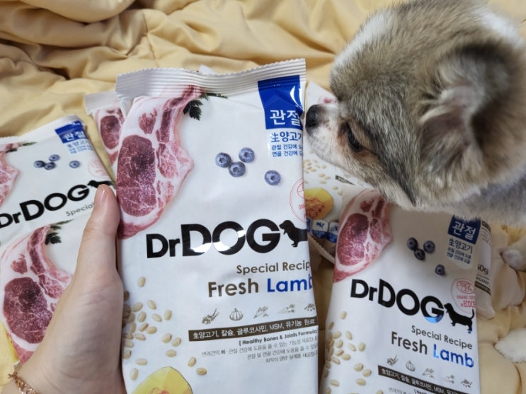  닥터독 _ 강아지 사료, 기호성 좋은 生양고기 강아지관절사료 2kg 후기
