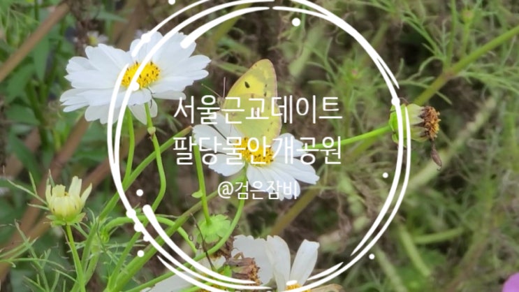  경기도 광주 가볼만한곳 팔당물안개공원 차크닉 포인트(feat. 허브섬[귀여섬], 입구교량공사, 셔틀버스)