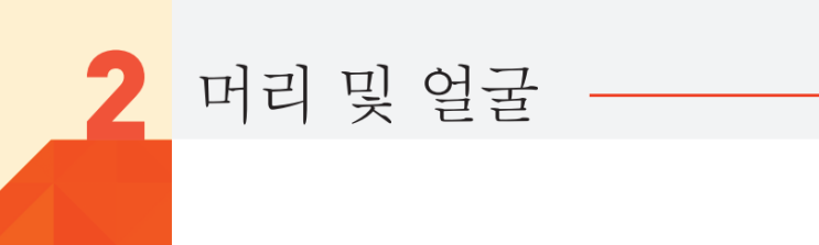  [기본통증진료학] 머리 및 얼굴: 턱관절증후군/체크근육/약물/통증치료/턱관절 관절강내 주사/관절구/청구항목/식이요법/운동요법