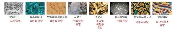  [고양] 상가 냉난방기 분해 세척 청소