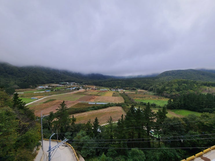  울릉도 여행 다녀오다 [저동항 오징어 회, 나리분지, 관음도]