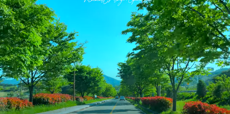  [구례] 계획에 없던 당일치기로 산닭구이와 지리산 치즈랜드!
