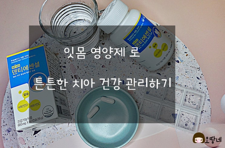  잇몸 영양제 튼튼한 치아 건강 관리하기